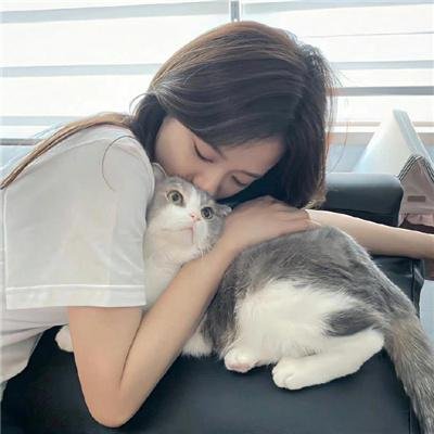 大炮之街